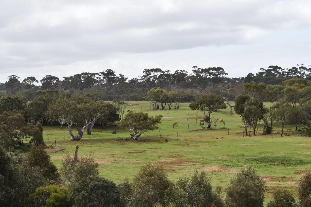 Werribee Open Range Zoo